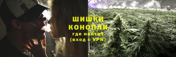 экстази Богданович