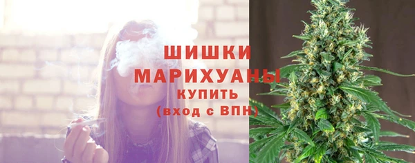 jwh Богородицк
