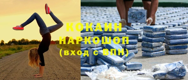 дмт Богородск