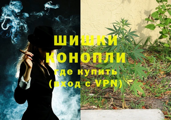jwh Богородицк