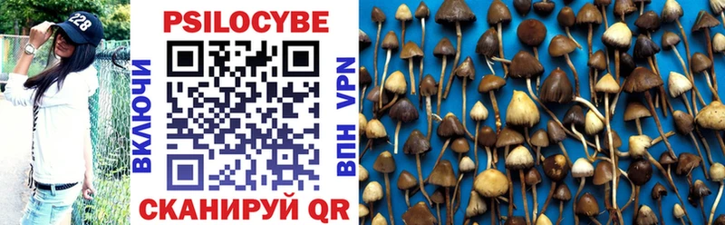 Псилоцибиновые грибы MAGIC MUSHROOMS  гидра как зайти  Краснознаменск 